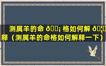 测属羊的命 🐡 格如何解 🦁 释（测属羊的命格如何解释一下）